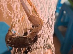 -北海金海湾红树林生态旅游区