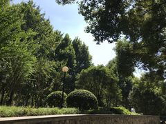 -后襄河公园