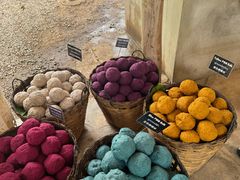 -大象粑粑造纸公园