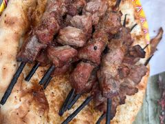 -艾力江和田馕坑烤肉店
