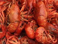 -有钳洞庭湖小龙虾大闸蟹(金楠天街店)