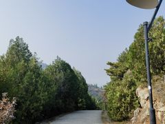 -府君山公园