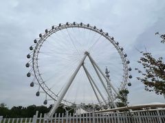 -日照海滨国家森林公园