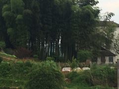 -大京袁记烤全羊农家(大京水库店)