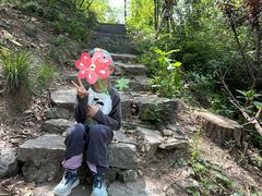 -青龙山国家森林公园