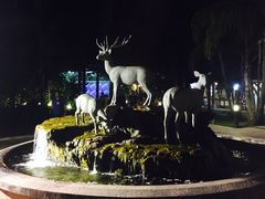-清迈夜间动物园