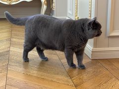 -Me Coffee下午茶艺术空间