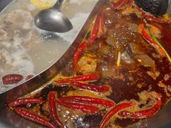 -辣伍鲜毛肚老火锅(元一店)