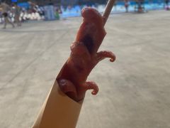 -美的鹭湖探索王国