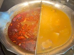 台式麻辣花胶鸡鸳鸯锅-湊湊火锅·茶憩(世博大道店)