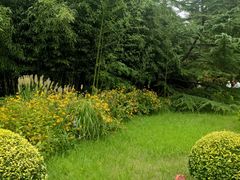 -莲花池公园