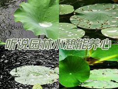 -拙政园