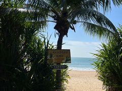 -三亚海棠湾万丽度假酒店