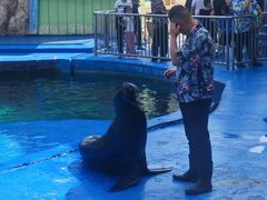 -华夏文旅海洋公园