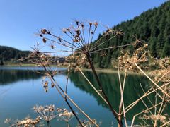 -武陵山森林公园
