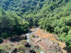 -广州白江湖森林公园