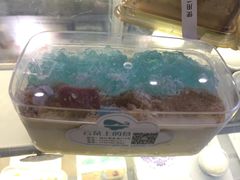 -云朵上的鱼(莘庄店)
