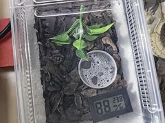 -瑞虹新天地月亮湾