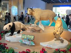 -陕西自然博物馆