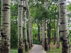 -元大都城垣遗址公园