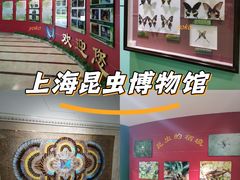 -上海昆虫博物馆