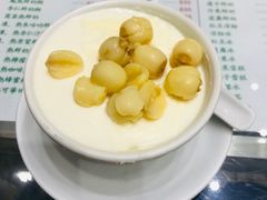莲子双皮奶-义顺牛奶公司(新马路老店)