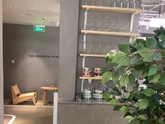 -Cappucimeow猫咪咖啡馆(韦伯时代店)