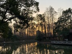 -青山公园萤火虫科普展