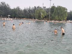 -柳浪游泳场