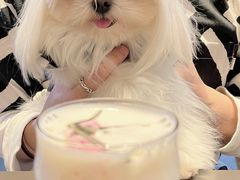 桃桃冷萃-Seesaw Coffee(苏州中心店)