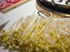 -二荆条·城市森林火锅旗舰店