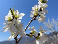 -白水寺森林公园