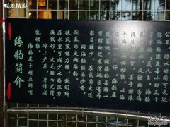 DSC00384-绿色时代大酒店