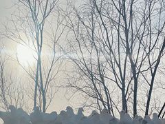 -天津妈祖文化园
