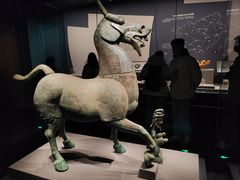 -广西壮族自治区博物馆