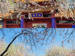-桃花堤公园