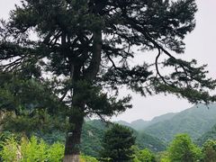 -秦岭终南山世界地质公园翠华山景区