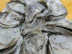 -蚝专家(北滘店)