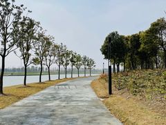 -春花秋色城市公园