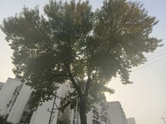 -玲珑塔公园