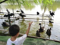 -长兴太湖图影湿地文化园