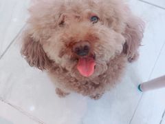 -恒幸动物医院·急重症转诊中心·神经内外科·CT核磁