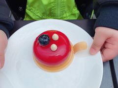 -Madeleine玛德琳(永平里店)
