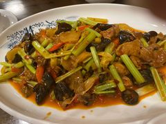 泡椒仔姜鲜牛肝-伊兰麒兰馨园·川菜·清真馆(339电视塔店)
