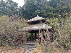 -南京老山国家森林公园