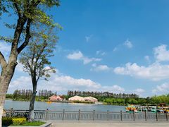 -上海长兴岛郊野公园