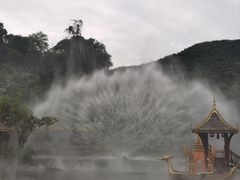景点-西双版纳原始森林公园