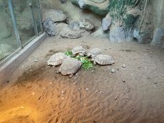 -常州淹城野生动物世界
