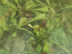 -北京植物园-展览温室