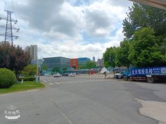 -海合安武汉极地海洋公园